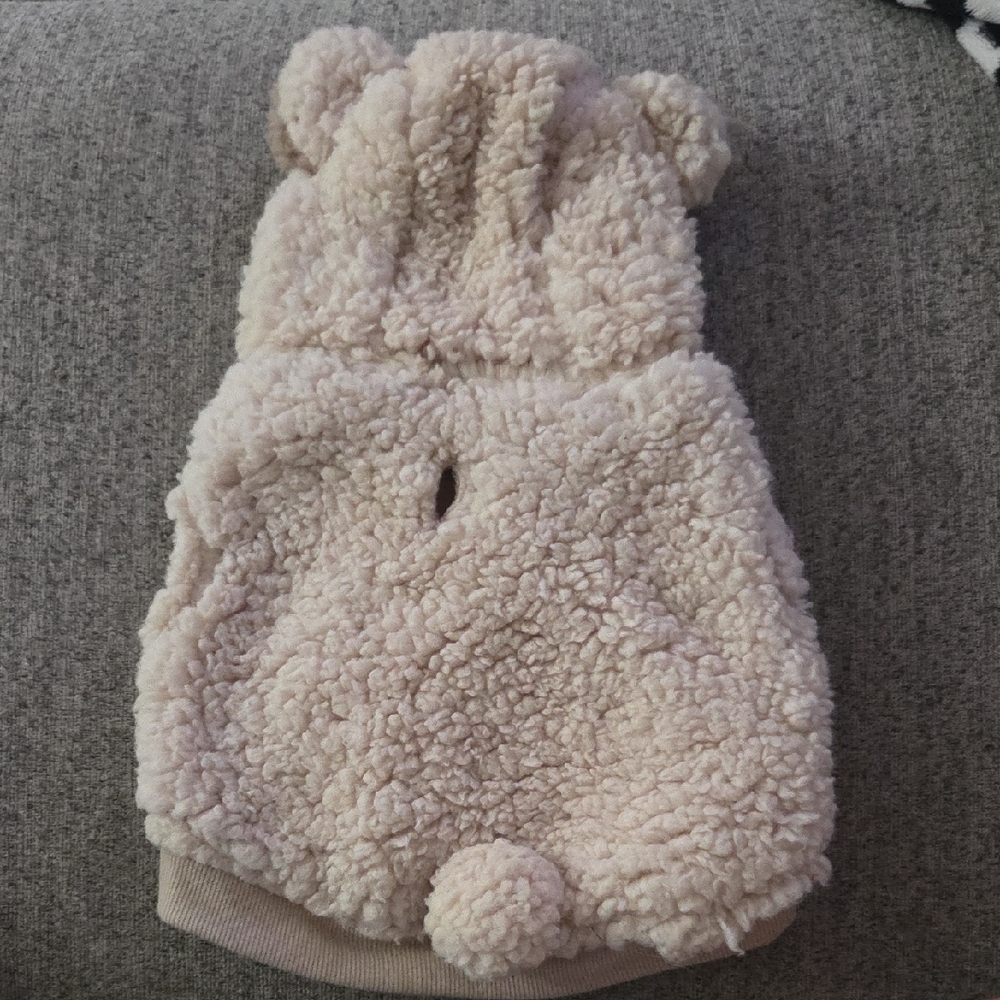 Cozy Cream Teddy Bear Dog Hoodie